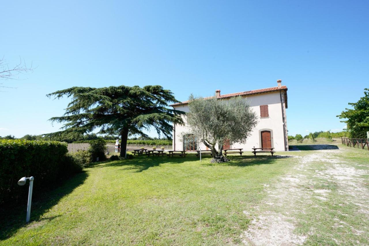 Agriturismo Vigna Sul Lago Montefiascone Bagian luar foto