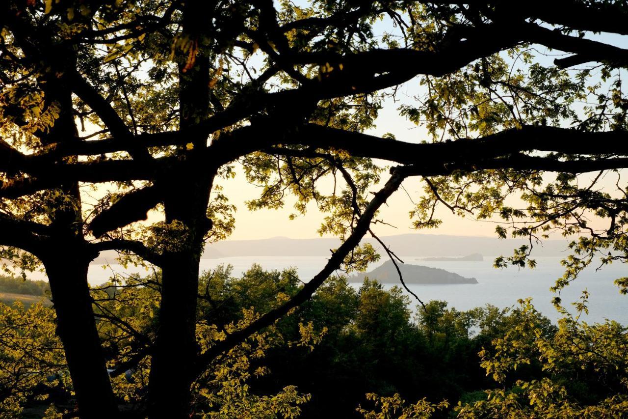 Agriturismo Vigna Sul Lago Montefiascone Bagian luar foto