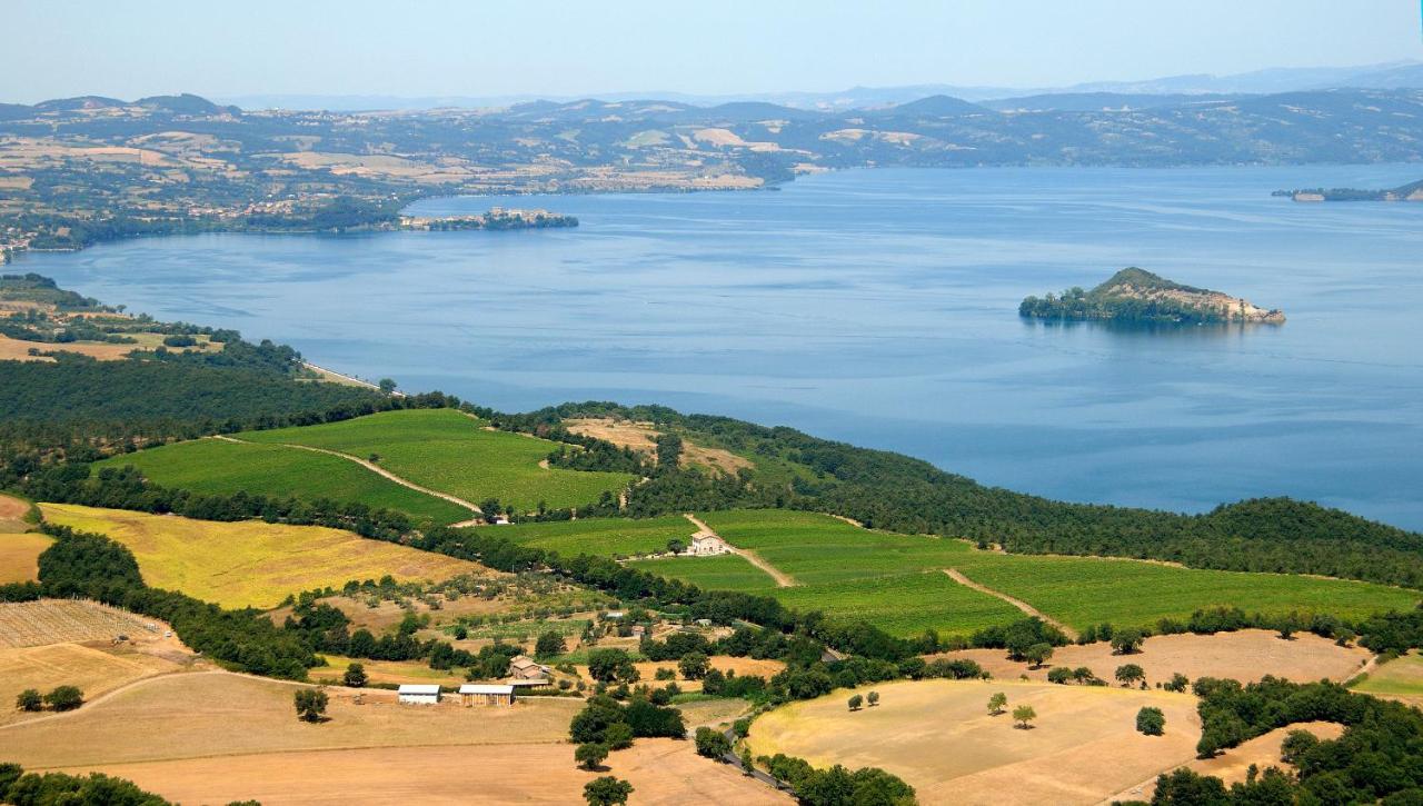 Agriturismo Vigna Sul Lago Montefiascone Bagian luar foto